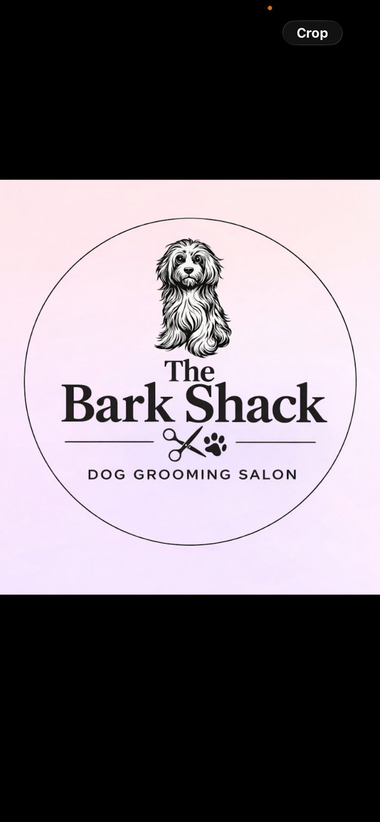 The Bark Shack dog grooming — gallery 4